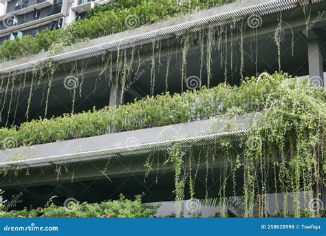 Building With Plants Growing On The Facade Stock Photo Image Of