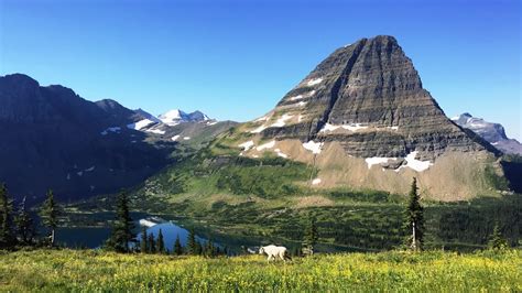 Outstanding Hidden Lake Nature Trail Glacier National Park Montana