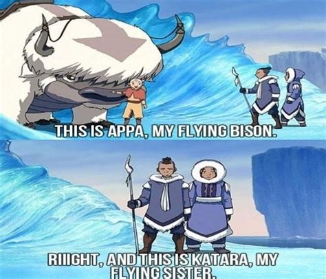 Hilarious Avatar The Last Airbender Memes Only True Fans Will Understand