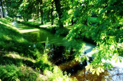 Free Images Landscape Tree Water Wilderness Sunshine Sunlight