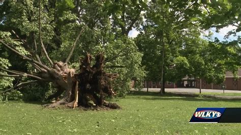 Neighbors In Charlestown Help Clean Up Damage From Sunday S Storms