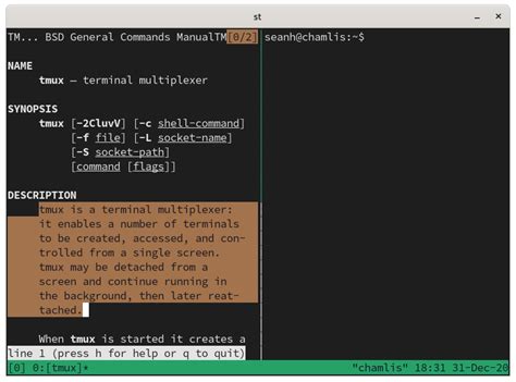 Configure Vim | East River Village