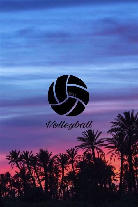 Volleyball Wallpaper | Tunggale Wall