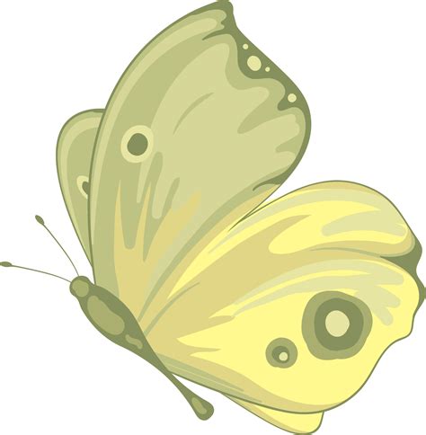 Illustration Beautiful Butterfly Paint Png