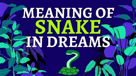 The Meaning Of Dreams About Snakes | UK Matttress Guide