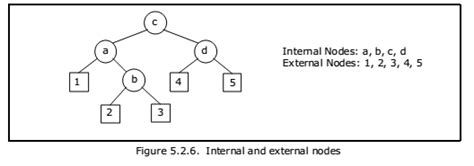 Binary Trees Examradar