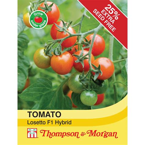 Thompson And Morgan Tomato Losetto F1 Hybrid Seeds Stratford Garden