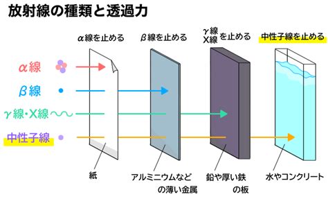 【中学理科】放射線の種類と透過力について詳しく解説！