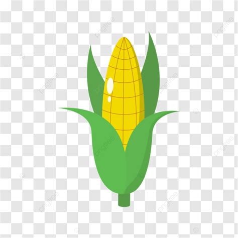 corn cartoon vector corn cartoon yellow png  vector