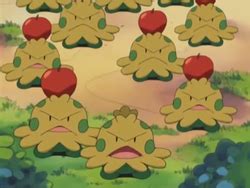 Shroomish Forest - Bulbapedia, the community-driven Pokémon encyclopedia