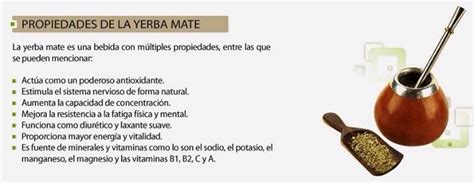 Las Propiedades De La Yerba Mate Y Sus Múltiples Beneficios Hot