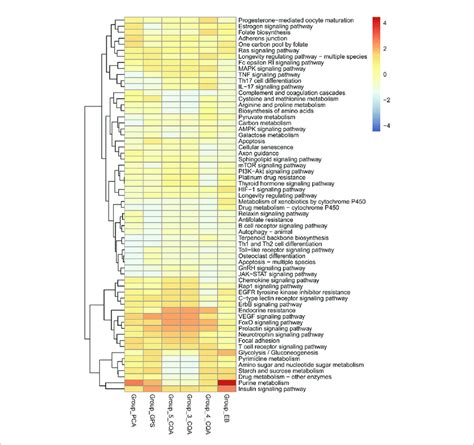 Heatmap Of Kegg Pathway Enrichment Analysis For The Six Main