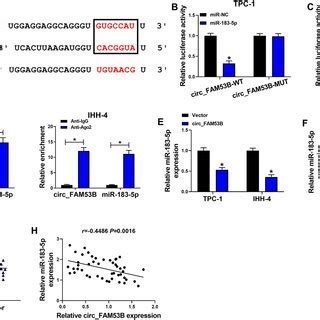 Circ FAM53B Level In PTC A Heat Map Analyzed The Expression Profile Of