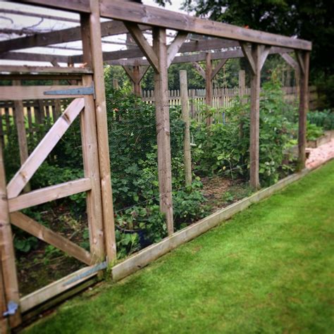 Bespoke Fruit Cage Fenced Vegetable Garden Diy Garden Fence Garden Enclosure Ideas