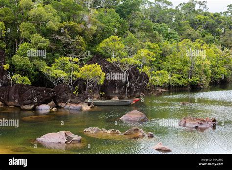 Landscape Of Masoala National Park Madagascar Stock Photo Alamy