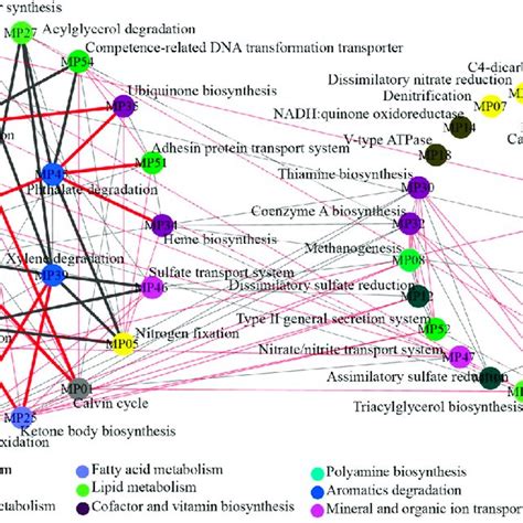 Network Analysis Based On The Metabolic Pathways Derived From Download Scientific Diagram