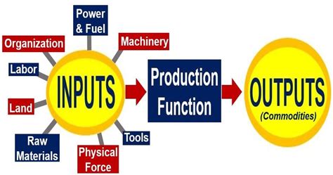 Production Function