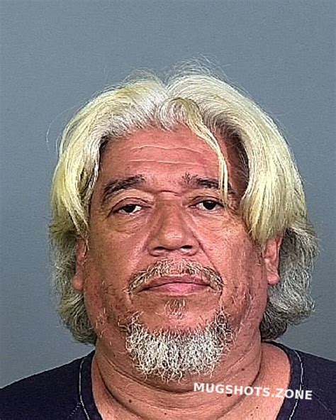 Vega Jorge J Manatee County Mugshots Zone