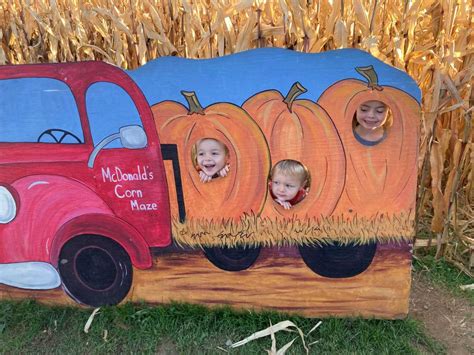 pumpkin patches fruit farms  open  fall family fun dusty tires