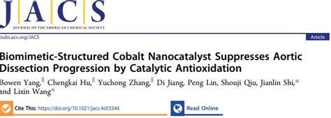 施剑林院士，最新jacs！ 哔哩哔哩