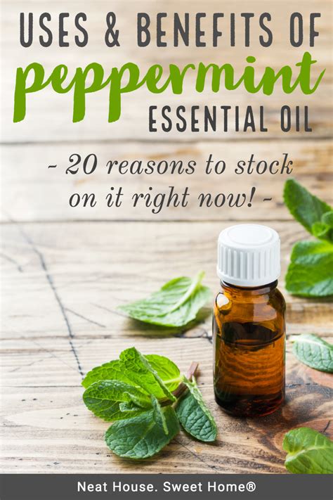 Benefits Of Peppermint Oil Garetmedia