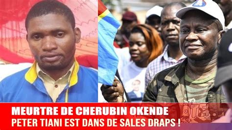 Rdcongo L Assassinat De Ch Rubin Okende Peter Tiani