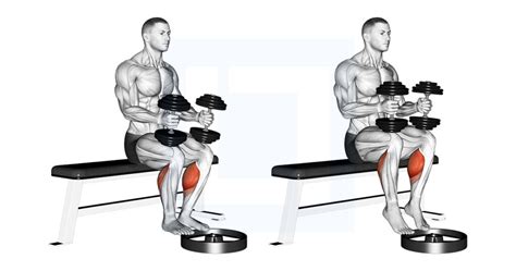 Standing Calf Raise Guide Benefits And Form