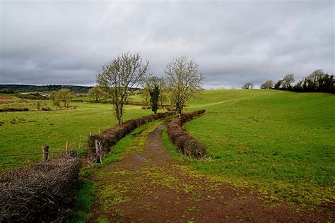 Lane Between Fields Dunnamona Kenneth Allen Cc By Sa Geograph