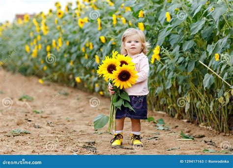 Menina Adorável Bonito Da Criança No Campo Do Girassol Flores