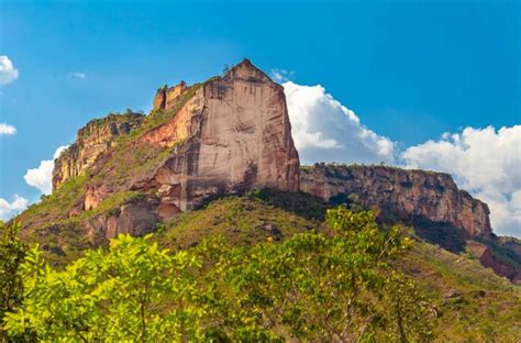 Reservas Particulares Do Patrimônio Natural Completam 30 Anos De