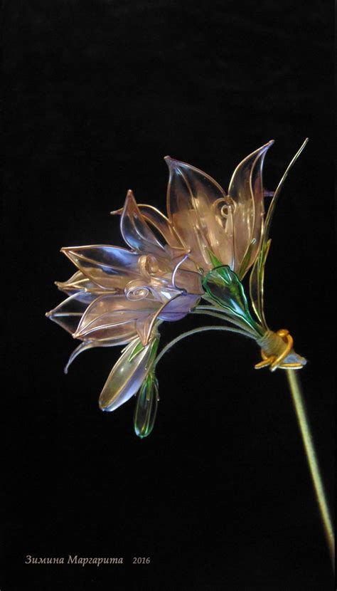 Колокольчики Campanula