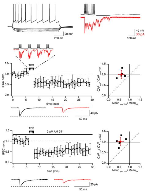 Theta Burst Stimulation Tbs Induces Ltd In Pairs Of Connected Cb1