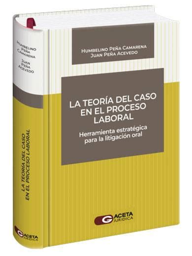 La TeorÍa Del Caso En El Proceso Laboral Herramienta Estratégica Para