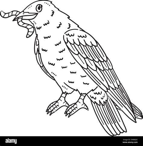 Crow Bird Isolated Coloring Page for Kids Stock Vector Image & Art - Alamy
