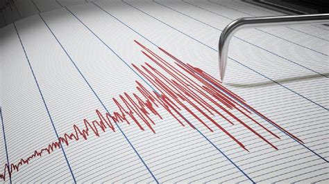 Suman R Plicas Tras Sismo De En Coalcom N