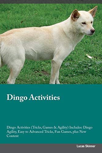 Dingo Activities Dingo Activities (Tricks, Games & Agility) Includes: Dingo Agility, Easy to ...