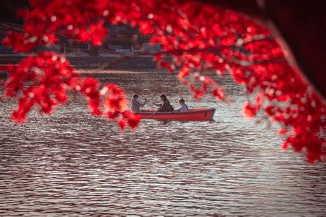 Best parks and gardens in Tokyo, Japan | Trip.Expert