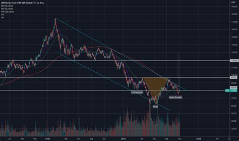 XBI Stock Fund Price And Chart AMEX XBI TradingView