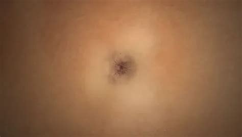 Free Isolated Porn Videos XHamster