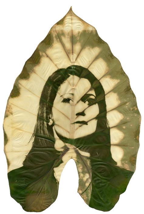 Growing Concerns - Almudena Romero