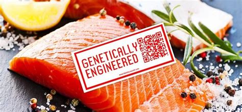 Fda Approves Genetically Engineered Salmon Heres What You Need To