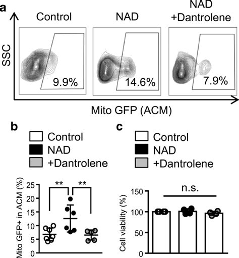 Cd Cadpr Signals Increase Extracellular Mitochondria Via Ryanodine