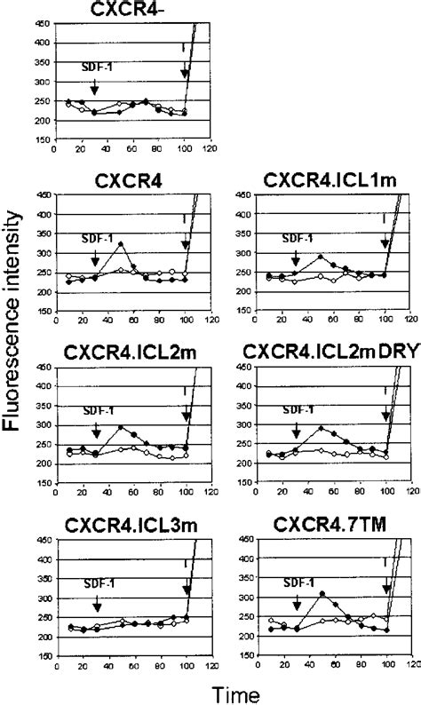 Sdf Induced Calcium Mobilization Stably Transfected Hek Cd