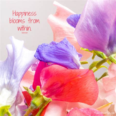 Happiness - Flowers Bloom Hope