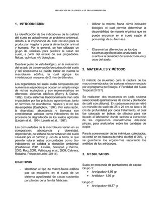 Informe N8 Macrofauna PDF