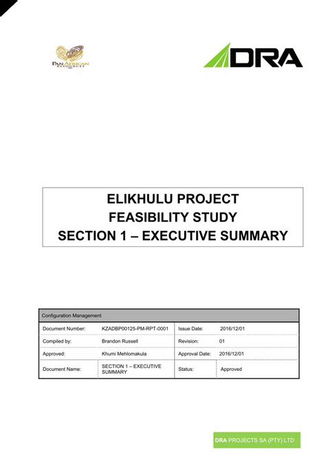 Pdf Elikhulu Project Feasibility Study Section 1 Executive