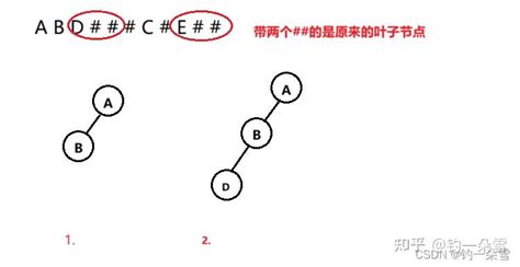 【数据结构】二叉树的建立拓展二叉树法和遍历 知乎