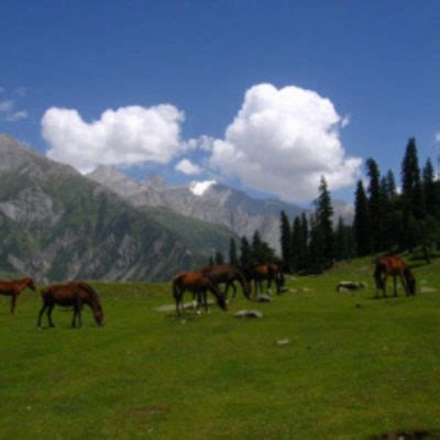 Sonamarg Kashmir – Gulmarg Loc Tour & Travels