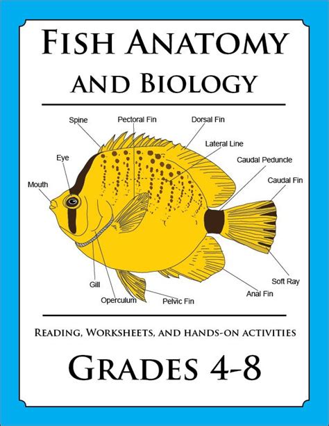 Fish Anatomy Worksheets