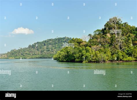 Tropical Forest On The Long Island Andaman And Nicobar Islands India